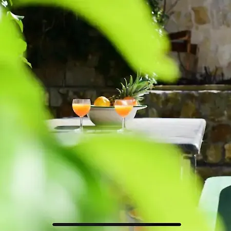Bongo Сasa de vacaciones *