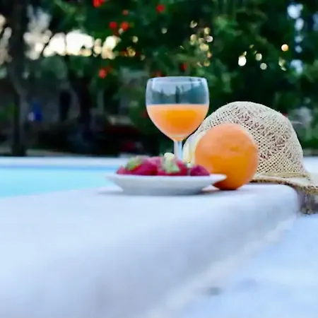 Bongo Сasa de vacaciones
